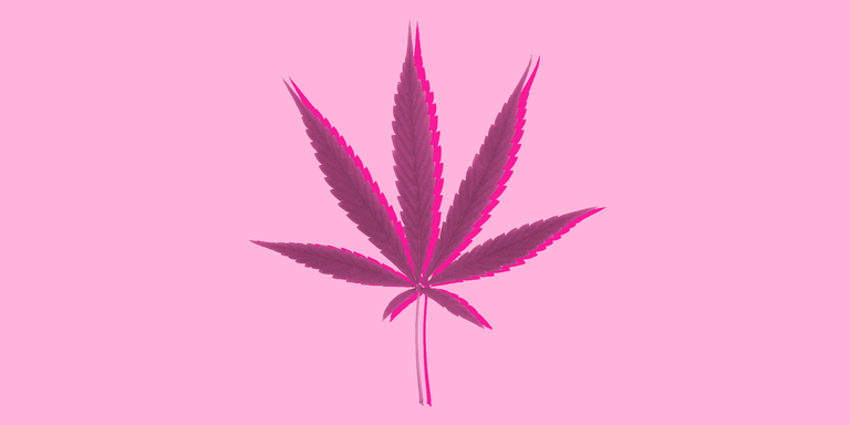 Dear Kate x Say Hi: Cannabis Based Solutions for Period Pain